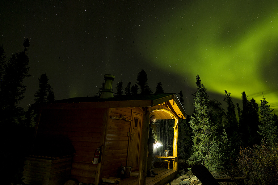 Caribou, Wolves and Northern Lights