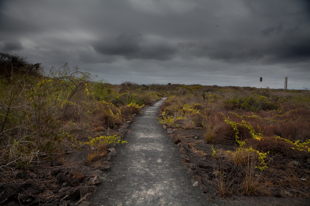 Galapagos Reimagined