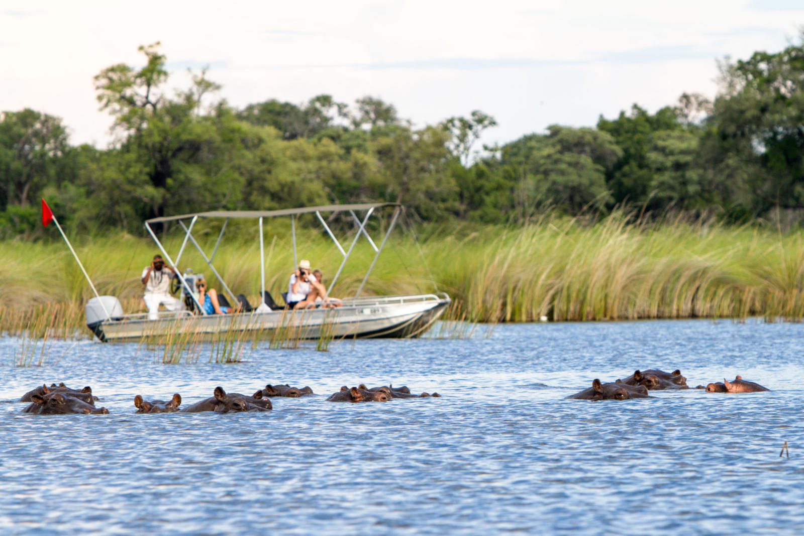 Moremi Game Reserve