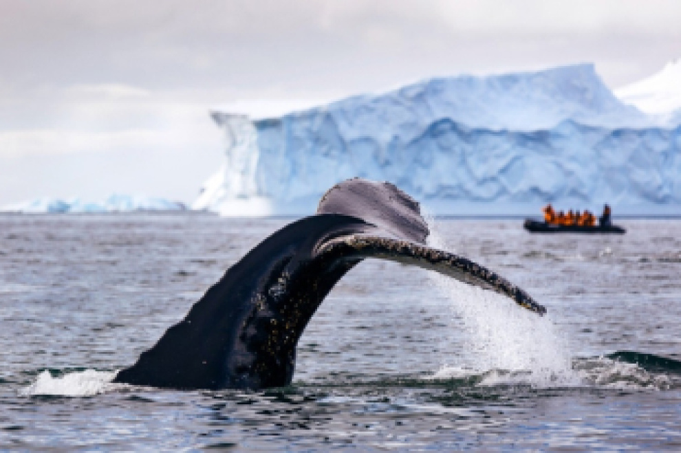 5 Epic Books On Antarctic Expeditions