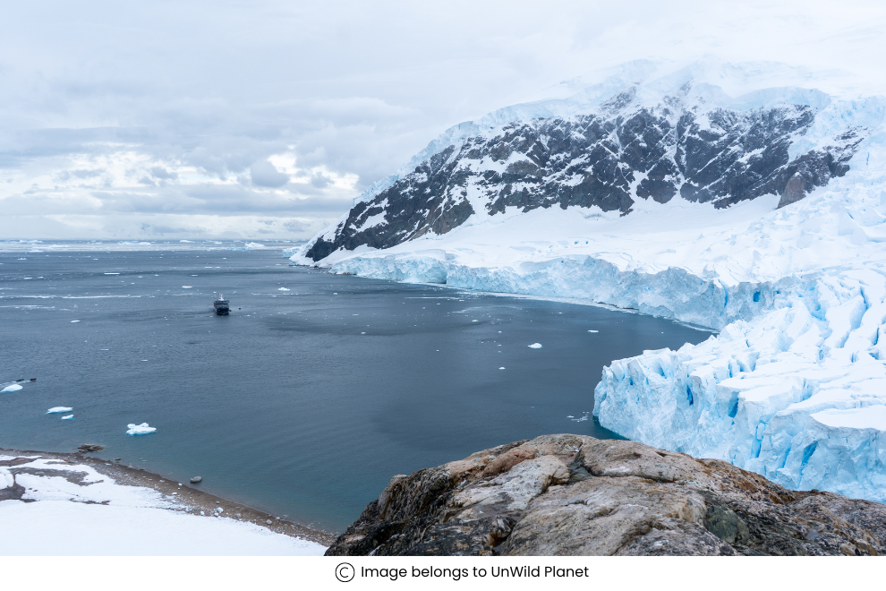 5 Epic Books On Antarctic Expeditions