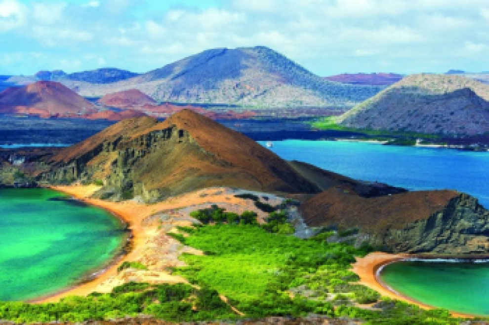 8 species that are only found on the Galapagos Islands!