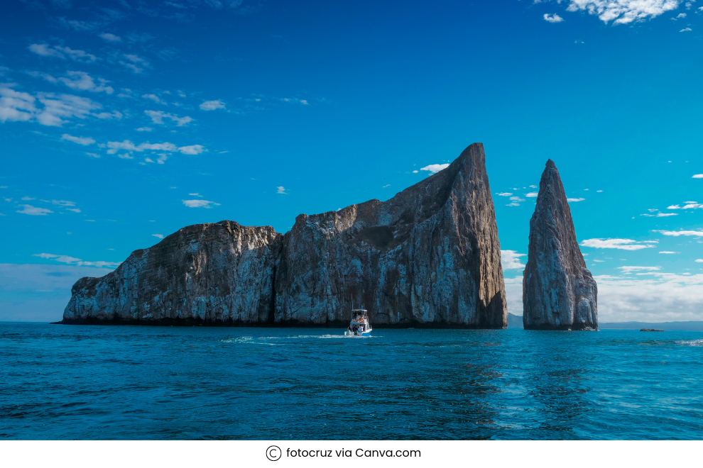 8 species that are only found on the Galapagos Islands!