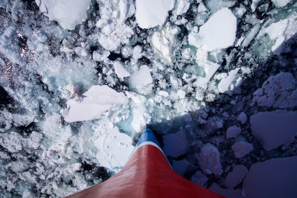 Antarctica Essentials: Packing List