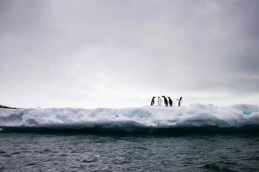 Antarctica Essentials: Packing List