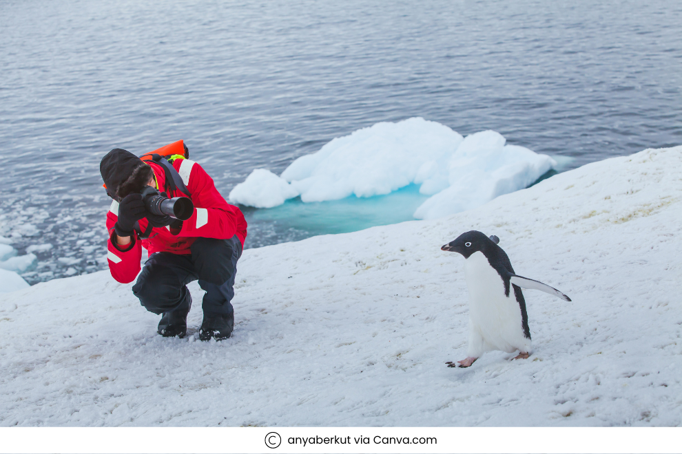 Commonly Asked Questions About Antarctica