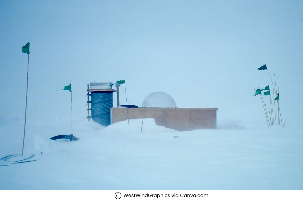 Latest Discoveries in Antarctica: From Hidden Life to Millenia Old DNA