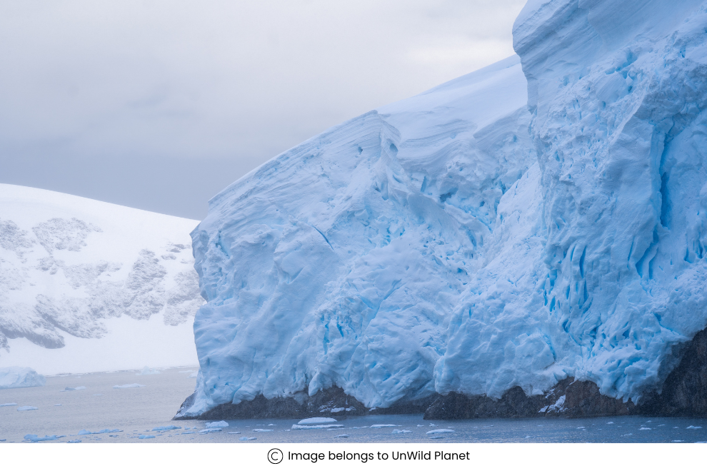 Seasons of Antarctica