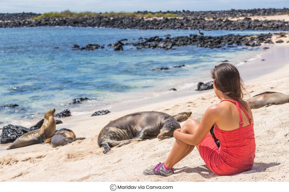 Why visit the Galapagos Islands?