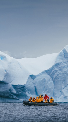 South Georgia and Antarctic Peninsula - Penguin Safari