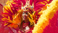 Rio Carnival - 1