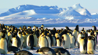 Why is travelling to Antarctica important?