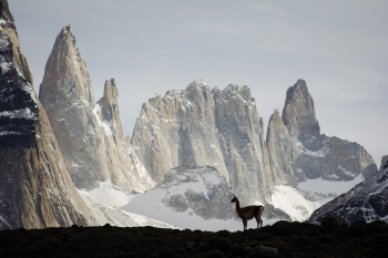 Active Patagonia