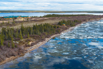 Arctic Haven Wilderness Lodge