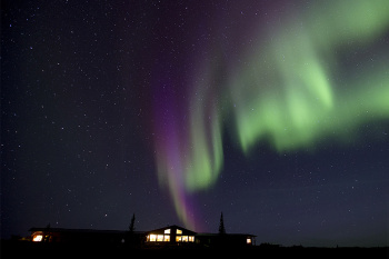 Caribou, Wolves and Northern Lights