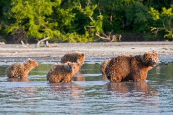 Kamchatka