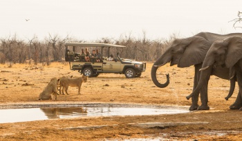 Savute Game Drives