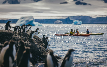 South Georgia and Antarctic Peninsula