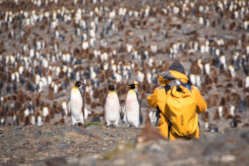 South Georgia and Antarctic Peninsula