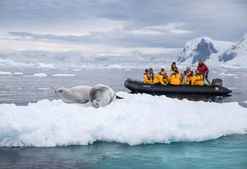 South Georgia and Antarctic Peninsula