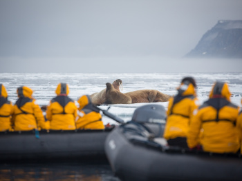 Spitsbergen Highlights