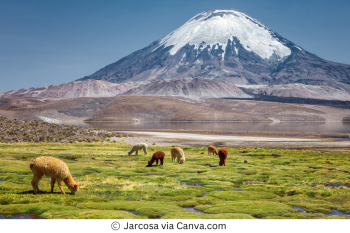 Why Travel to Chile