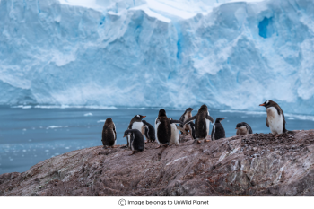 Why is travelling to Antarctica important?