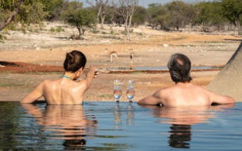Anderssons at Ongava