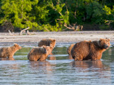 Kamchatka