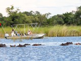 Moremi Game Reserve