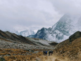 Mountain Views on EBC trail