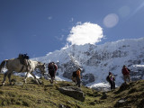 Salkantay Trek