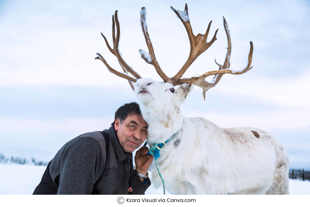 Sami Reindeer Herders in Arctic - 1