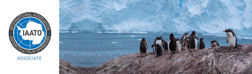 International Association of Antarctica Tour Operators (IAATO)